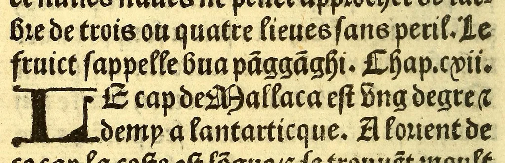 An illustration from Le voyage et nauigation, faict par les Espaignolz es Isles de Mollucques. Des isles quilz ont trouue audict voyage, des roys dicelles, de leur gouuernement & maniere de viure, auec plusiers aultres choses, 1525, leaf 148