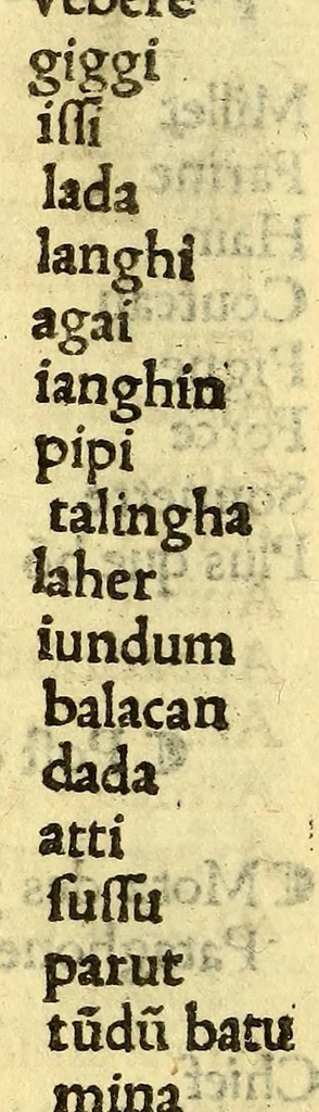 An illustration from Le voyage et nauigation, faict par les Espaignolz es Isles de Mollucques. Des isles quilz ont trouue audict voyage, des roys dicelles, de leur gouuernement & maniere de viure, auec plusiers aultres choses, 1525, leaf 160