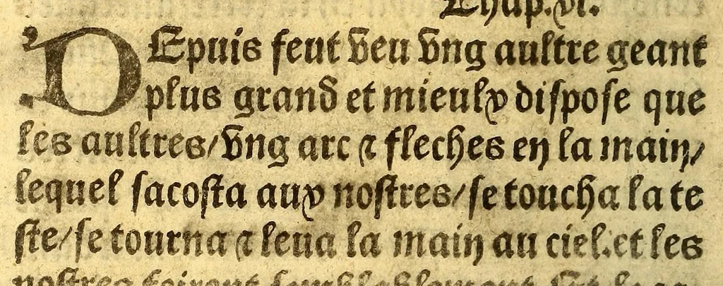 An illustration from Le voyage et nauigation, faict par les Espaignolz es Isles de Mollucques. Des isles quilz ont trouue audict voyage, des roys dicelles, de leur gouuernement & maniere de viure, auec plusiers aultres choses, 1525, leaf 22