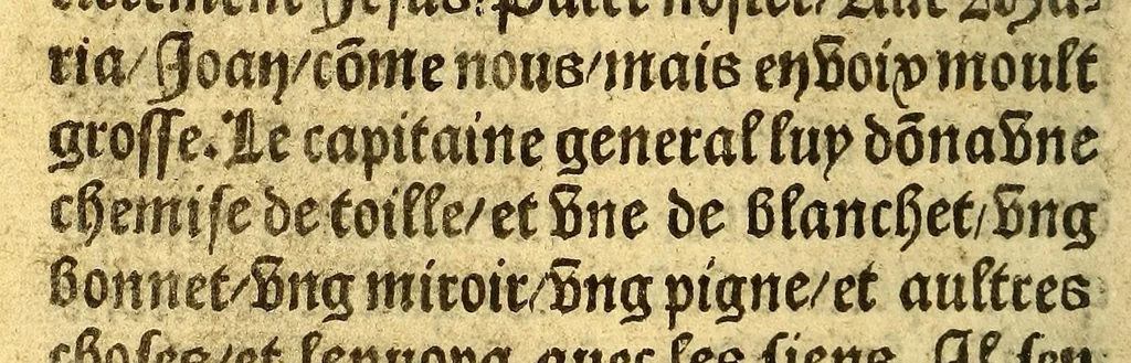 An illustration from Le voyage et nauigation, faict par les Espaignolz es Isles de Mollucques. Des isles quilz ont trouue audict voyage, des roys dicelles, de leur gouuernement & maniere de viure, auec plusiers aultres choses, 1525, leaf 22