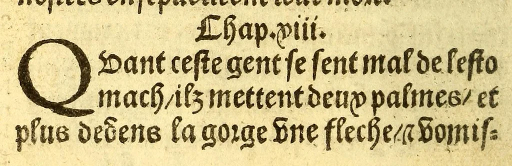 An illustration from Le voyage et nauigation, faict par les Espaignolz es Isles de Mollucques. Des isles quilz ont trouue audict voyage, des roys dicelles, de leur gouuernement & maniere de viure, auec plusiers aultres choses, 1525, leaf 24