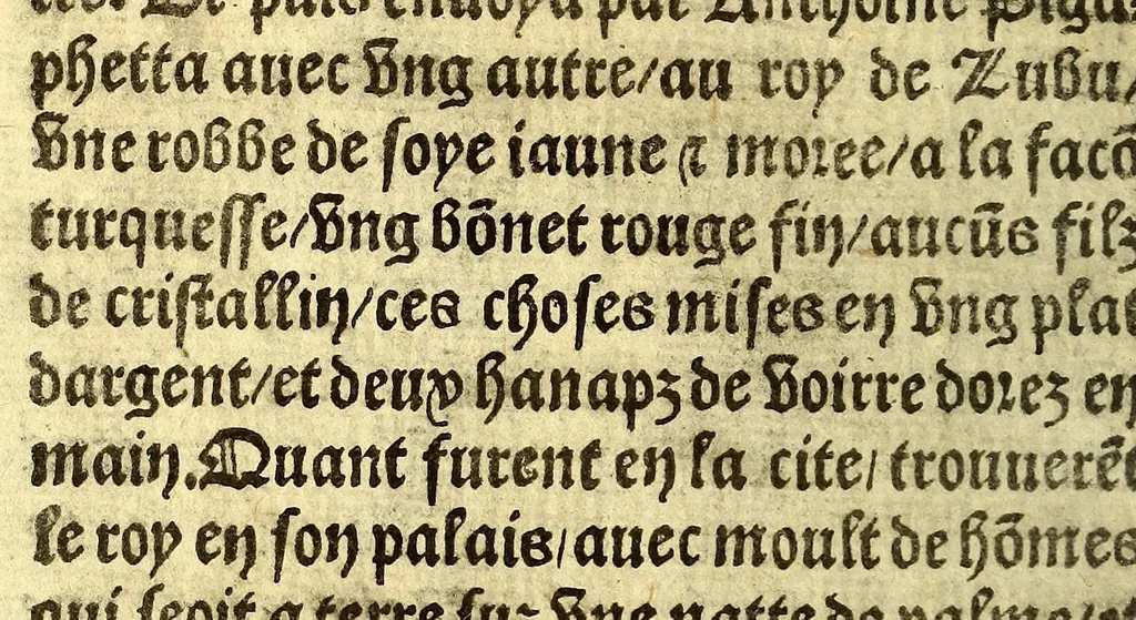 An illustration from Le voyage et nauigation, faict par les Espaignolz es Isles de Mollucques. Des isles quilz ont trouue audict voyage, des roys dicelles, de leur gouuernement & maniere de viure, auec plusiers aultres choses, 1525, leaf 66