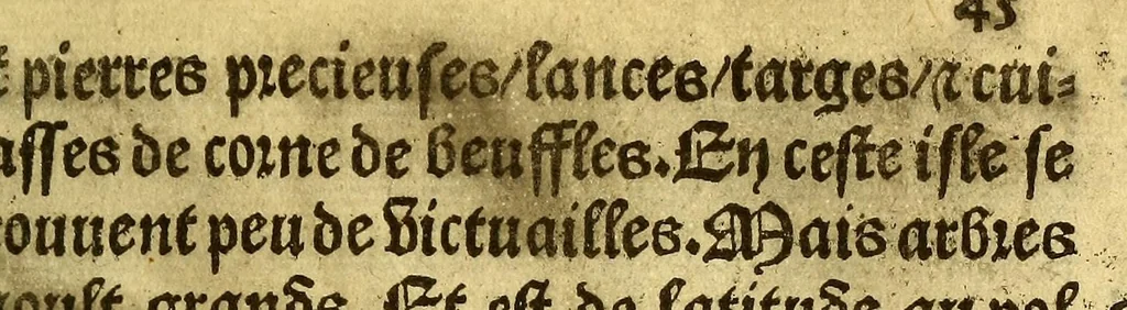 An illustration from Le voyage et nauigation, faict par les Espaignolz es Isles de Mollucques. Des isles quilz ont trouue audict voyage, des roys dicelles, de leur gouuernement & maniere de viure, auec plusiers aultres choses, 1525, leaf 95