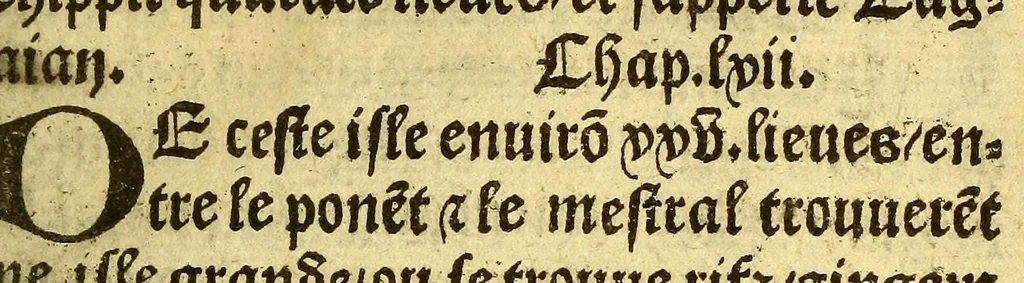 An illustration from Le voyage et nauigation, faict par les Espaignolz es Isles de Mollucques. Des isles quilz ont trouue audict voyage, des roys dicelles, de leur gouuernement & maniere de viure, auec plusiers aultres choses, 1525, leaf 95