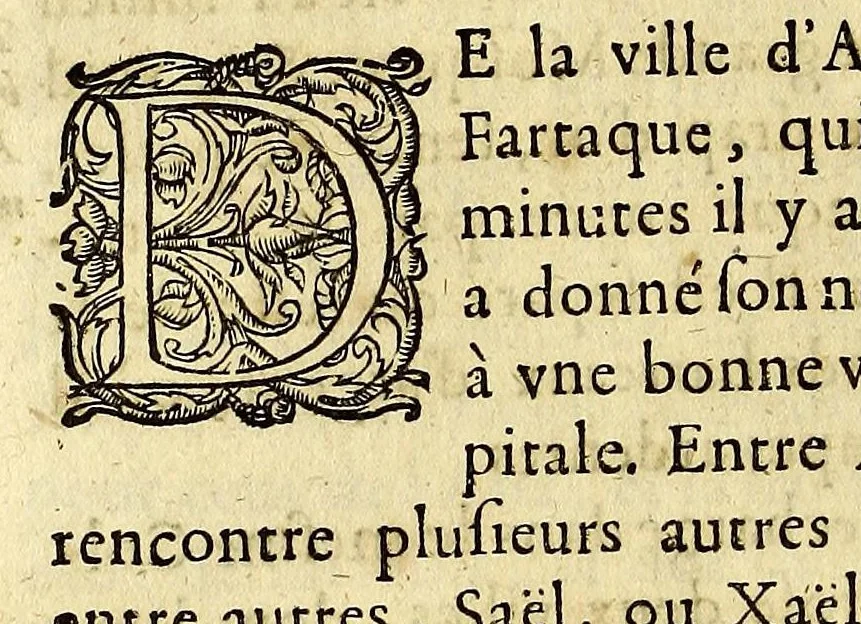 An illustration from Le voyageur curieux qui fait le tour du monde. : Auec ses matières d'entretien qui composent l'histoire curieuse., 1664, leaf 106