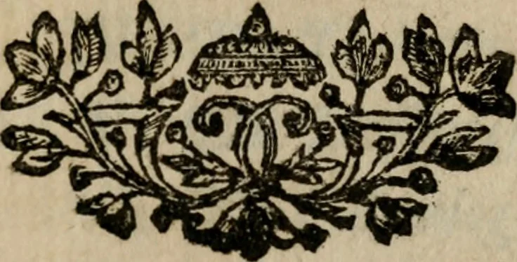 An illustration from Le voyageur philosophe dans un pais inconnu aux habitans de la terre, 1761, leaf 6