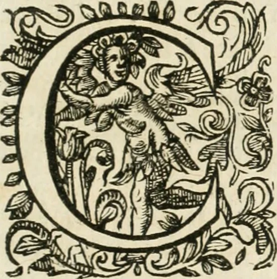An illustration from Le vray et methodique cours de la physique resolutiue, vulgairement dite chymie : representé par figures generales & particulieres : pour connoistre la theotechnie ergocosmique, c'est à dire, l'art de Dieu, en l'ouurage de l'vniuers, 1653, leaf 14