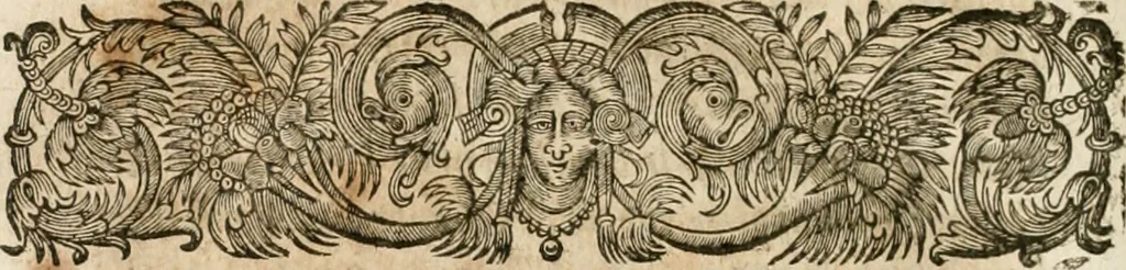 An illustration from Le vray et methodique cours de la physique resolutiue, vulgairement dite chymie : representé par figures generales & particulieres : pour connoistre la theotechnie ergocosmique, c'est à dire, l'art de Dieu, en l'ouurage de l'vniuers, 1653, leaf 155