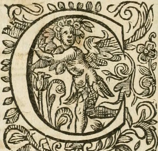 An illustration from Le vray et methodique cours de la physique resolutiue, vulgairement dite chymie : representé par figures generales & particulieres : pour connoistre la theotechnie ergocosmique, c'est à dire, l'art de Dieu, en l'ouurage de l'vniuers, 1653, leaf 167