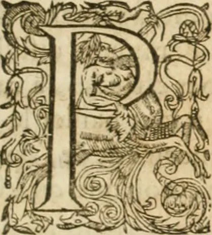 An illustration from Le vray et methodique cours de la physique resolutiue, vulgairement dite chymie : representé par figures generales & particulieres : pour connoistre la theotechnie ergocosmique, c'est à dire, l'art de Dieu, en l'ouurage de l'vniuers, 1653, leaf 176