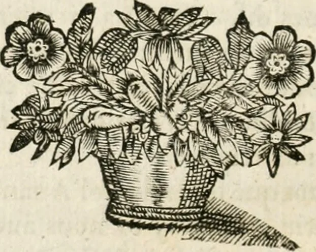 An illustration from Le vray et methodique cours de la physique resolutiue, vulgairement dite chymie : representé par figures generales & particulieres : pour connoistre la theotechnie ergocosmique, c'est à dire, l'art de Dieu, en l'ouurage de l'vniuers, 1653, leaf 243