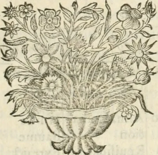 An illustration from Le vray et methodique cours de la physique resolutiue, vulgairement dite chymie : representé par figures generales & particulieres : pour connoistre la theotechnie ergocosmique, c'est à dire, l'art de Dieu, en l'ouurage de l'vniuers, 1653, leaf 248