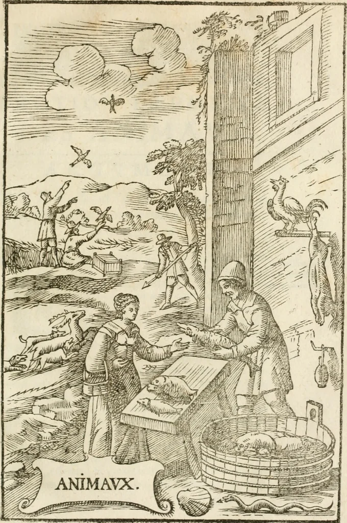 An illustration from Le vray et methodique cours de la physique resolutiue, vulgairement dite chymie : representé par figures generales & particulieres : pour connoistre la theotechnie ergocosmique, c'est à dire, l'art de Dieu, en l'ouurage de l'vniuers, 1653, leaf 254