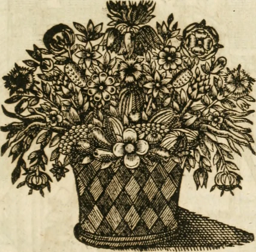 An illustration from Le vray et methodique cours de la physique resolutiue, vulgairement dite chymie : representé par figures generales & particulieres : pour connoistre la theotechnie ergocosmique, c'est à dire, l'art de Dieu, en l'ouurage de l'vniuers, 1653, leaf 260