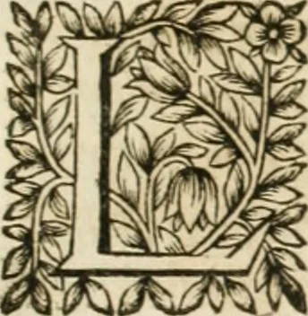 An illustration from Le vray et methodique cours de la physique resolutiue, vulgairement dite chymie : representé par figures generales & particulieres : pour connoistre la theotechnie ergocosmique, c'est à dire, l'art de Dieu, en l'ouurage de l'vniuers, 1653, leaf 262