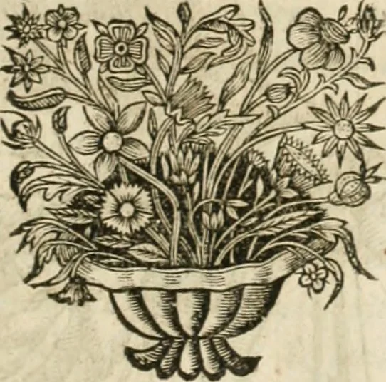 An illustration from Le vray et methodique cours de la physique resolutiue, vulgairement dite chymie : representé par figures generales & particulieres : pour connoistre la theotechnie ergocosmique, c'est à dire, l'art de Dieu, en l'ouurage de l'vniuers, 1653, leaf 288