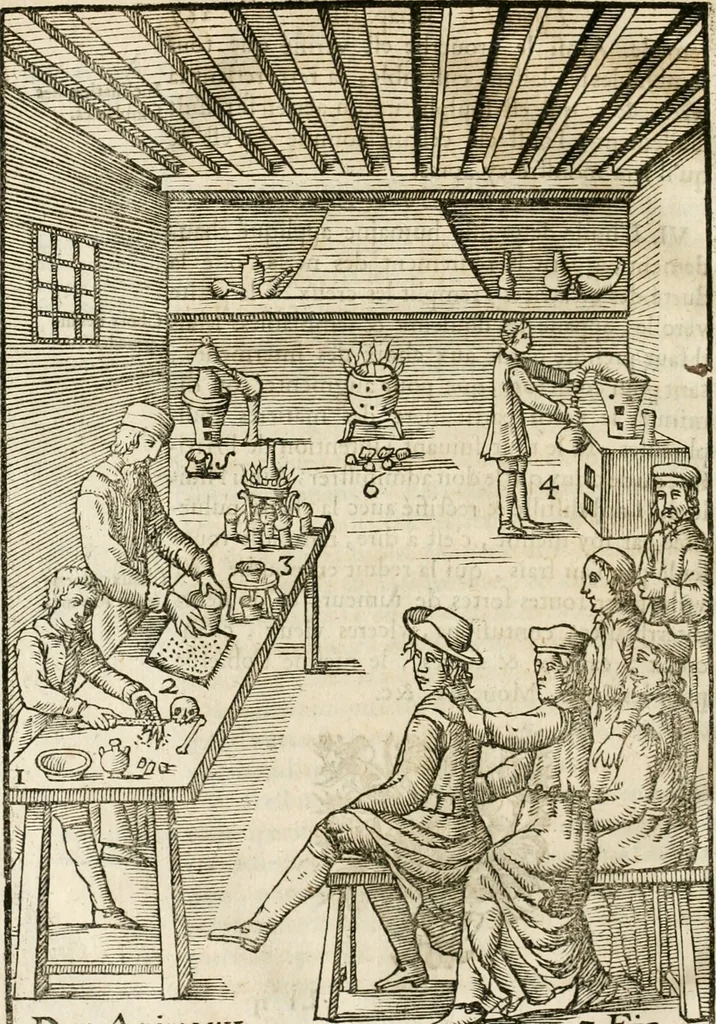 An illustration from Le vray et methodique cours de la physique resolutiue, vulgairement dite chymie : representé par figures generales & particulieres : pour connoistre la theotechnie ergocosmique, c'est à dire, l'art de Dieu, en l'ouurage de l'vniuers, 1653, leaf 289