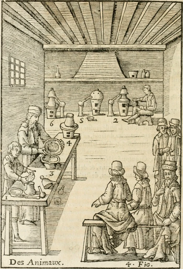 An illustration from Le vray et methodique cours de la physique resolutiue, vulgairement dite chymie : representé par figures generales & particulieres : pour connoistre la theotechnie ergocosmique, c'est à dire, l'art de Dieu, en l'ouurage de l'vniuers, 1653, leaf 311