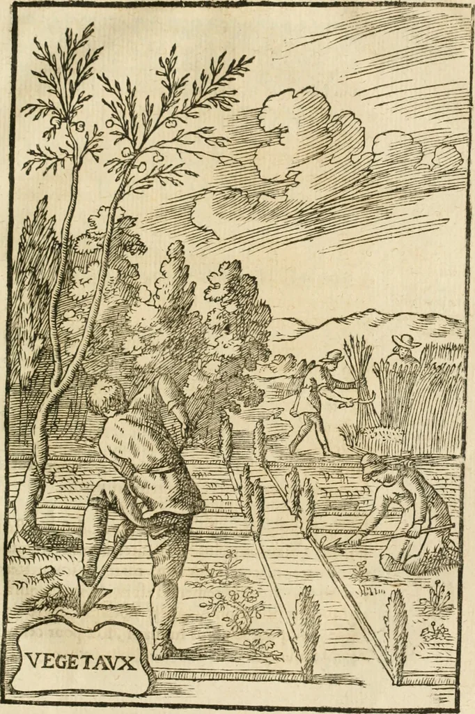 An illustration from Le vray et methodique cours de la physique resolutiue, vulgairement dite chymie : representé par figures generales & particulieres : pour connoistre la theotechnie ergocosmique, c'est à dire, l'art de Dieu, en l'ouurage de l'vniuers, 1653, leaf 330