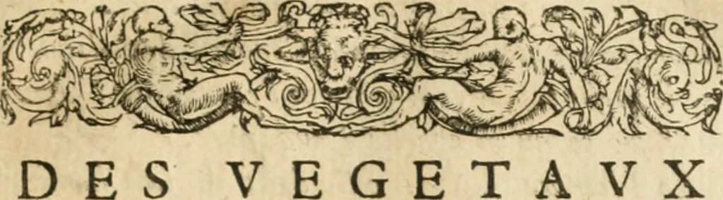 An illustration from Le vray et methodique cours de la physique resolutiue, vulgairement dite chymie : representé par figures generales & particulieres : pour connoistre la theotechnie ergocosmique, c'est à dire, l'art de Dieu, en l'ouurage de l'vniuers, 1653, leaf 374