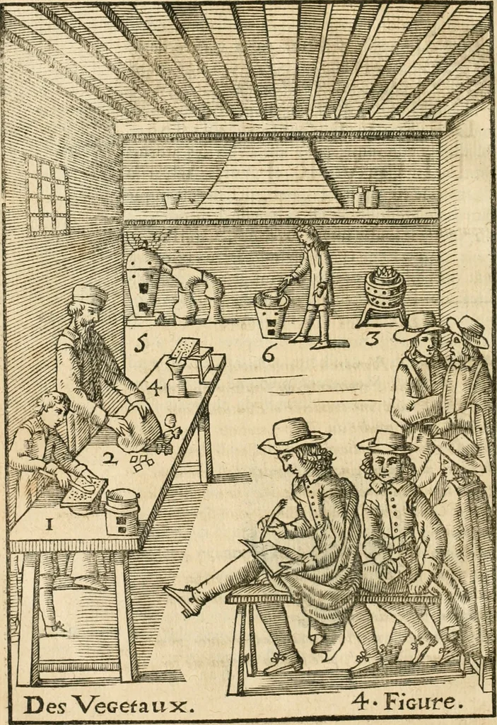 An illustration from Le vray et methodique cours de la physique resolutiue, vulgairement dite chymie : representé par figures generales & particulieres : pour connoistre la theotechnie ergocosmique, c'est à dire, l'art de Dieu, en l'ouurage de l'vniuers, 1653, leaf 395