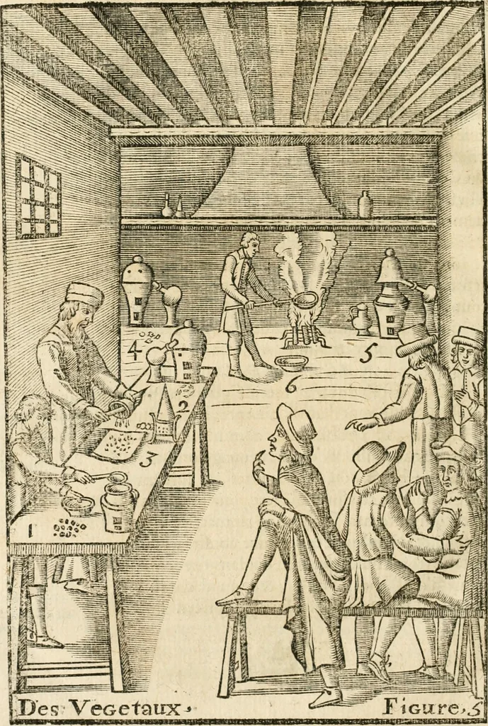 An illustration from Le vray et methodique cours de la physique resolutiue, vulgairement dite chymie : representé par figures generales & particulieres : pour connoistre la theotechnie ergocosmique, c'est à dire, l'art de Dieu, en l'ouurage de l'vniuers, 1653, leaf 413