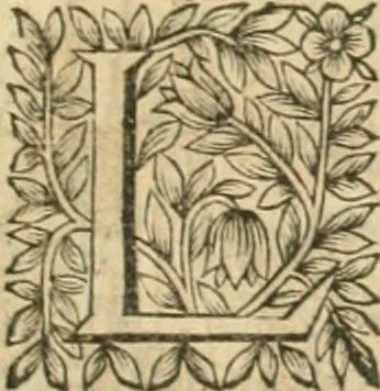 An illustration from Le vray et methodique cours de la physique resolutiue, vulgairement dite chymie : representé par figures generales & particulieres : pour connoistre la theotechnie ergocosmique, c'est à dire, l'art de Dieu, en l'ouurage de l'vniuers, 1653, leaf 414