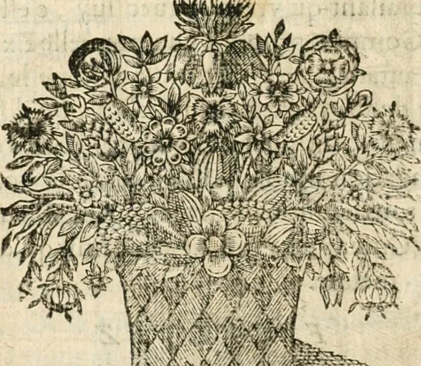 An illustration from Le vray et methodique cours de la physique resolutiue, vulgairement dite chymie : representé par figures generales & particulieres : pour connoistre la theotechnie ergocosmique, c'est à dire, l'art de Dieu, en l'ouurage de l'vniuers, 1653, leaf 427