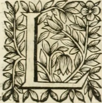 An illustration from Le vray et methodique cours de la physique resolutiue, vulgairement dite chymie : representé par figures generales & particulieres : pour connoistre la theotechnie ergocosmique, c'est à dire, l'art de Dieu, en l'ouurage de l'vniuers, 1653, leaf 500