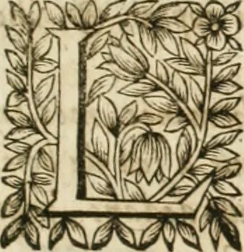 An illustration from Le vray et methodique cours de la physique resolutiue, vulgairement dite chymie : representé par figures generales & particulieres : pour connoistre la theotechnie ergocosmique, c'est à dire, l'art de Dieu, en l'ouurage de l'vniuers, 1653, leaf 514