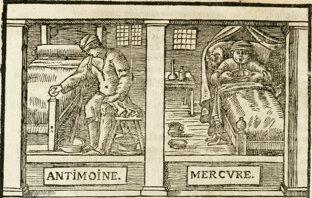 An illustration from Le vray et methodique cours de la physique resolutiue, vulgairement dite chymie : representé par figures generales & particulieres : pour connoistre la theotechnie ergocosmique, c'est à dire, l'art de Dieu, en l'ouurage de l'vniuers, 1653, leaf 529