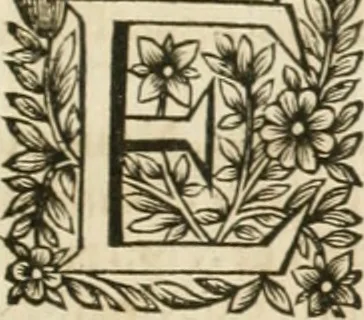 An illustration from Le vray et methodique cours de la physique resolutiue, vulgairement dite chymie : representé par figures generales & particulieres : pour connoistre la theotechnie ergocosmique, c'est à dire, l'art de Dieu, en l'ouurage de l'vniuers, 1653, leaf 532