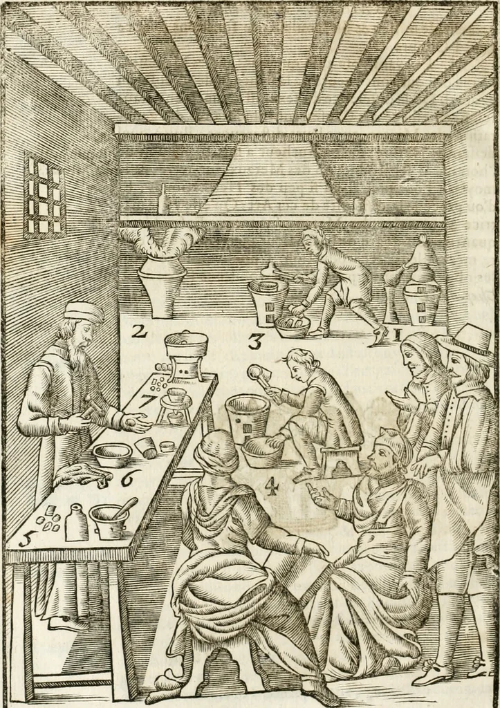 An illustration from Le vray et methodique cours de la physique resolutiue, vulgairement dite chymie : representé par figures generales & particulieres : pour connoistre la theotechnie ergocosmique, c'est à dire, l'art de Dieu, en l'ouurage de l'vniuers, 1653, leaf 539