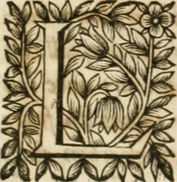 An illustration from Le vray et methodique cours de la physique resolutiue, vulgairement dite chymie : representé par figures generales & particulieres : pour connoistre la theotechnie ergocosmique, c'est à dire, l'art de Dieu, en l'ouurage de l'vniuers, 1653, leaf 558