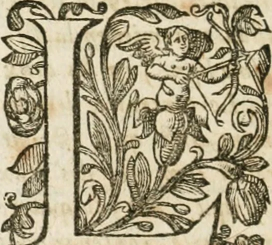 An illustration from Le vray et methodique cours de la physique resolutiue, vulgairement dite chymie : representé par figures generales & particulieres : pour connoistre la theotechnie ergocosmique, c'est à dire, l'art de Dieu, en l'ouurage de l'vniuers, 1653, leaf 77