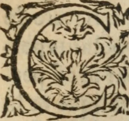 An illustration from Le Vray point d'honneur à garder en conservant pour vivre honorablement & paisiblement avec un chacun, 1618, leaf 132