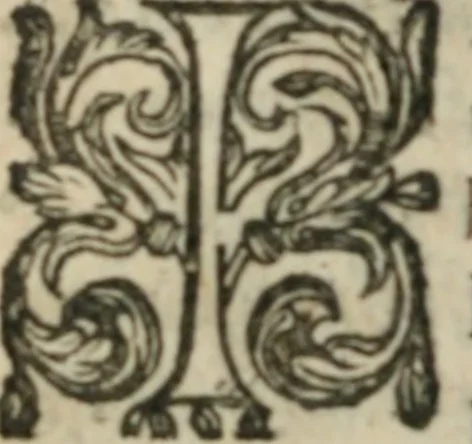 An illustration from Le Vray point d'honneur à garder en conservant pour vivre honorablement & paisiblement avec un chacun, 1618, leaf 177