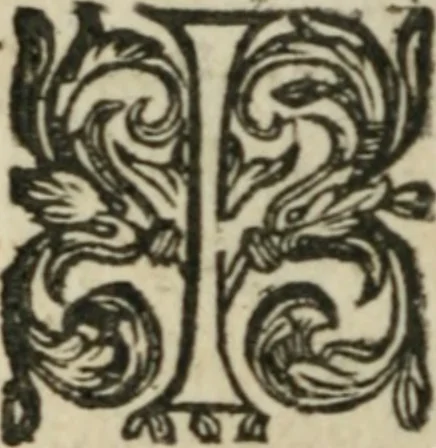 An illustration from Le Vray point d'honneur à garder en conservant pour vivre honorablement & paisiblement avec un chacun, 1618, leaf 275