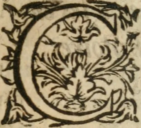 An illustration from Le Vray point d'honneur à garder en conservant pour vivre honorablement & paisiblement avec un chacun, 1618, leaf 324