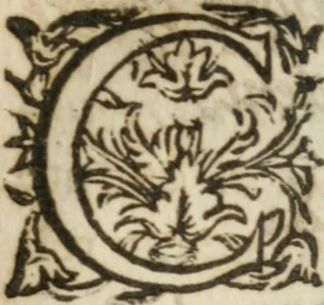 An illustration from Le Vray point d'honneur à garder en conservant pour vivre honorablement & paisiblement avec un chacun, 1618, leaf 480