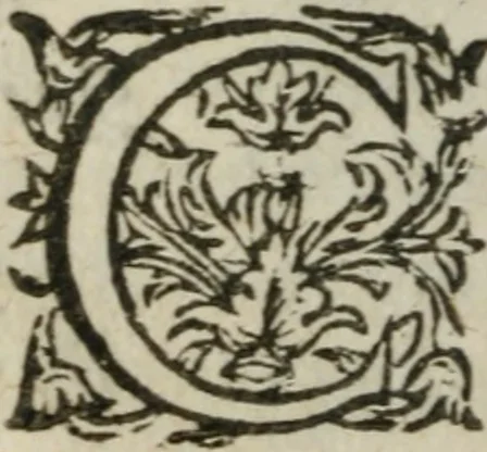 An illustration from Le Vray point d'honneur à garder en conservant pour vivre honorablement & paisiblement avec un chacun, 1618, leaf 75