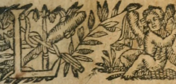 An illustration from Le Vray practicien françois, .., 1638, leaf 20
