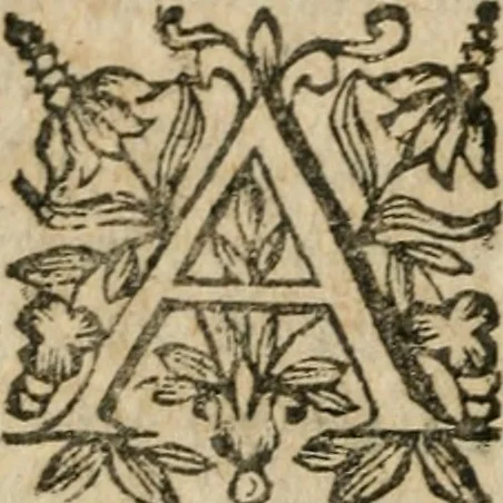 An illustration from Le Vray practicien françois, .., 1638, leaf 347