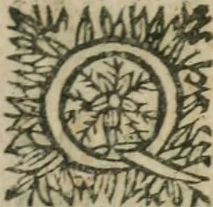 An illustration from Le Vray practicien françois, .., 1638, leaf 356