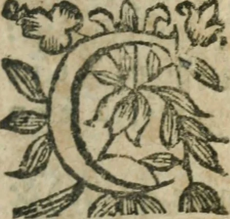 An illustration from Le Vray practicien françois, .., 1638, leaf 388