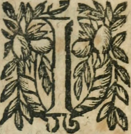 An illustration from Le Vray practicien françois, .., 1638, leaf 414