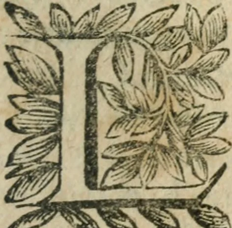 An illustration from Le Vray practicien françois, .., 1638, leaf 490