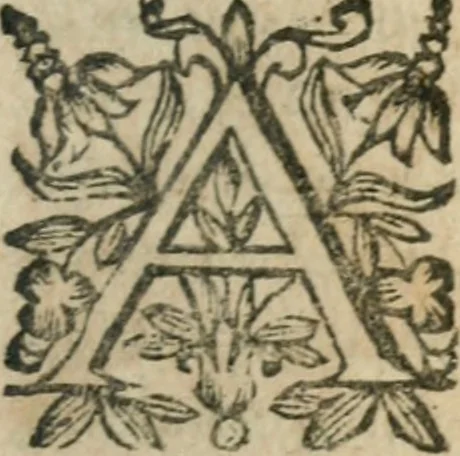 An illustration from Le Vray practicien françois, .., 1638, leaf 540