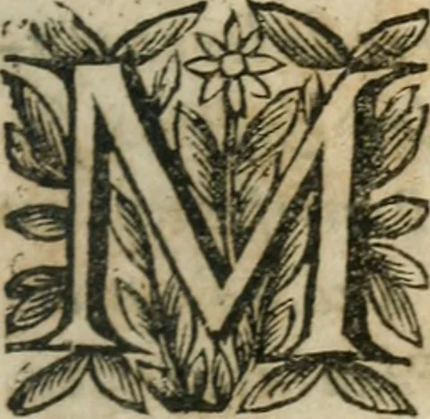 An illustration from Le Vray practicien françois, .., 1638, leaf 6