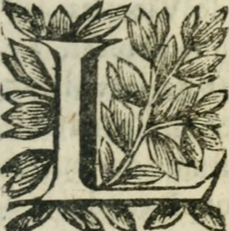 An illustration from Le Vray practicien françois, .., 1638, leaf 620